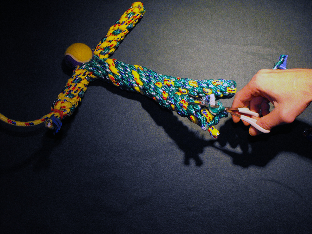 DOG_TOY_TENNIS_BALL_HEAD (114).JPG