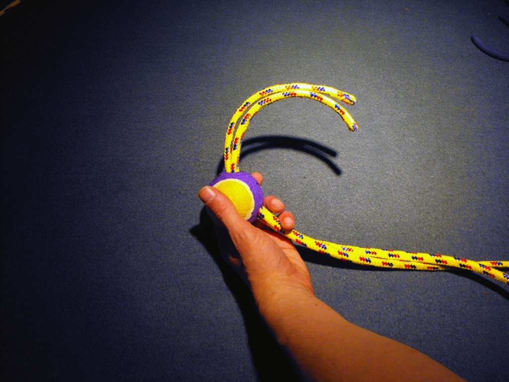 DOG_TOY_TENNIS_BALL_HEAD (14).JPG