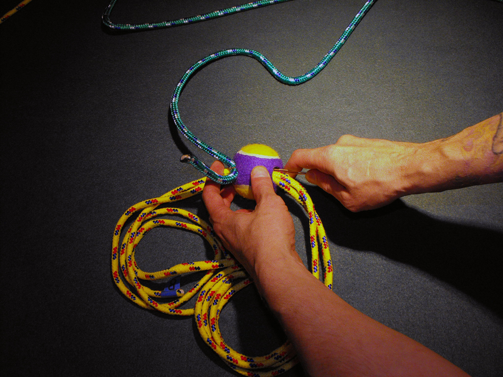 DOG_TOY_TENNIS_BALL_HEAD (24).JPG