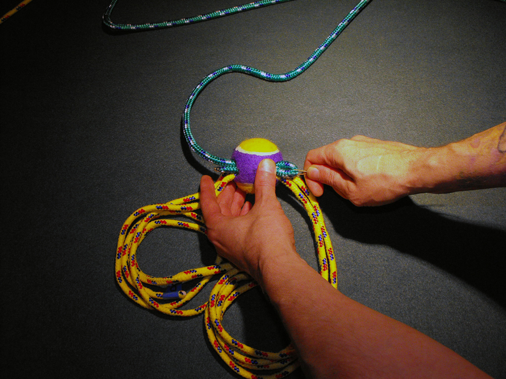 DOG_TOY_TENNIS_BALL_HEAD (26).JPG