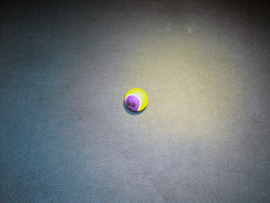 DOG_TOY_TENNIS_BALL_HEAD (3).JPG