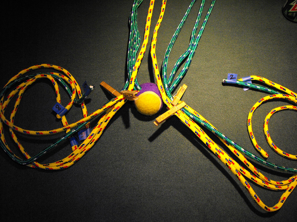 DOG_TOY_TENNIS_BALL_HEAD (38).JPG