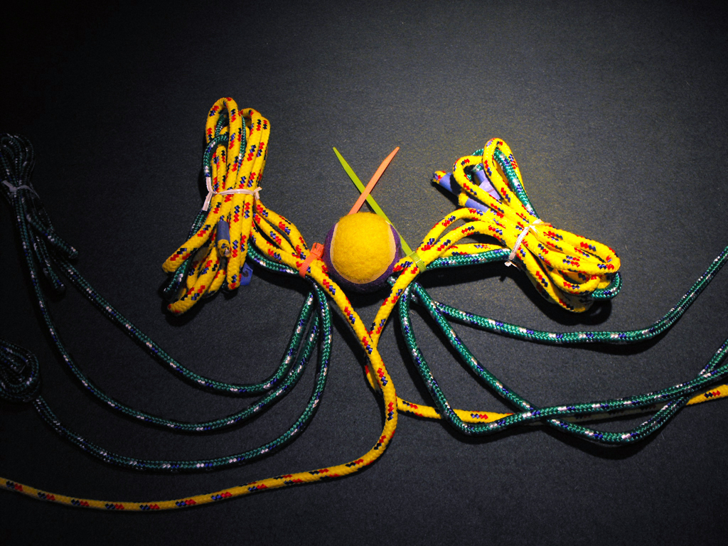 DOG_TOY_TENNIS_BALL_HEAD (39).JPG