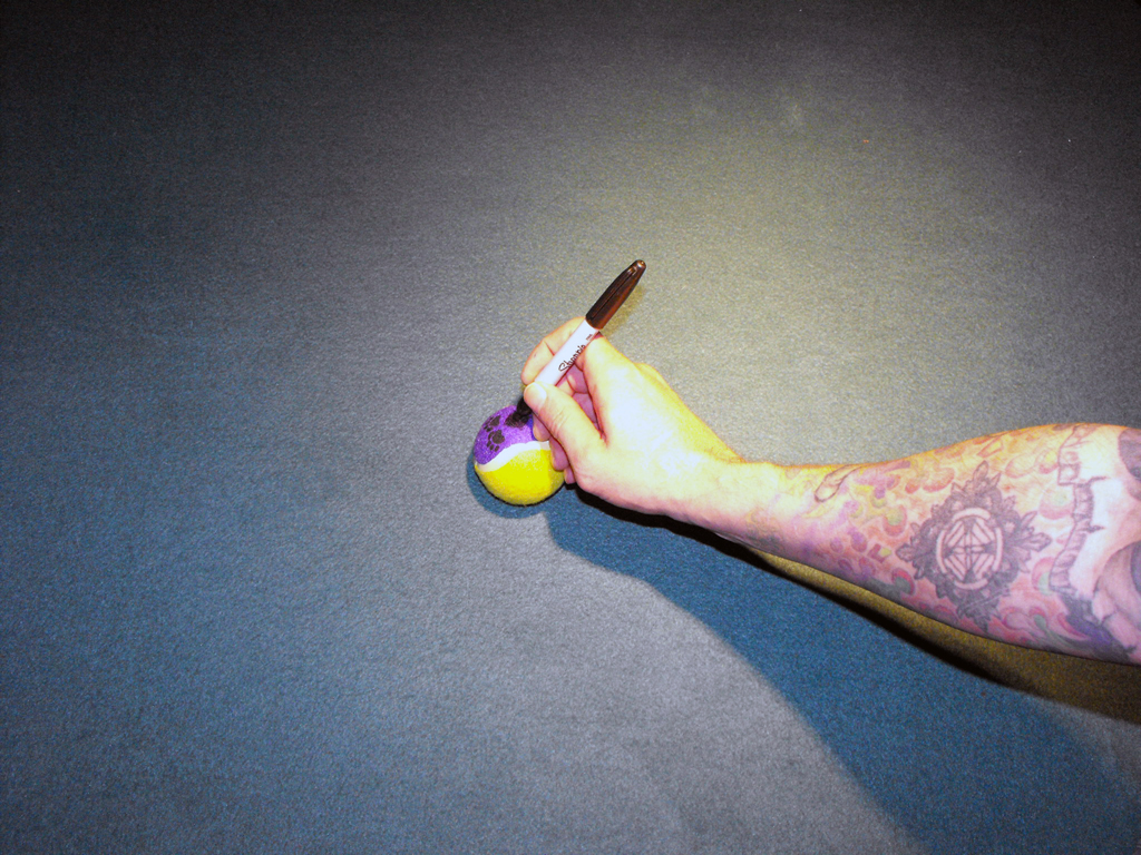 DOG_TOY_TENNIS_BALL_HEAD (4).JPG