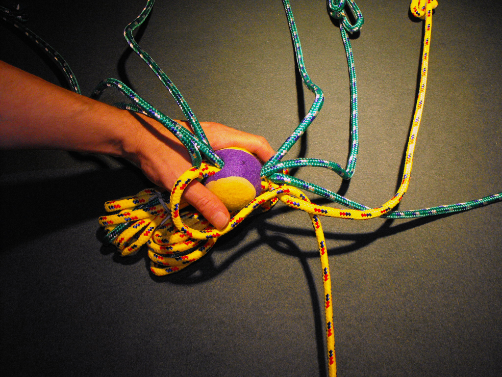 DOG_TOY_TENNIS_BALL_HEAD (42).JPG