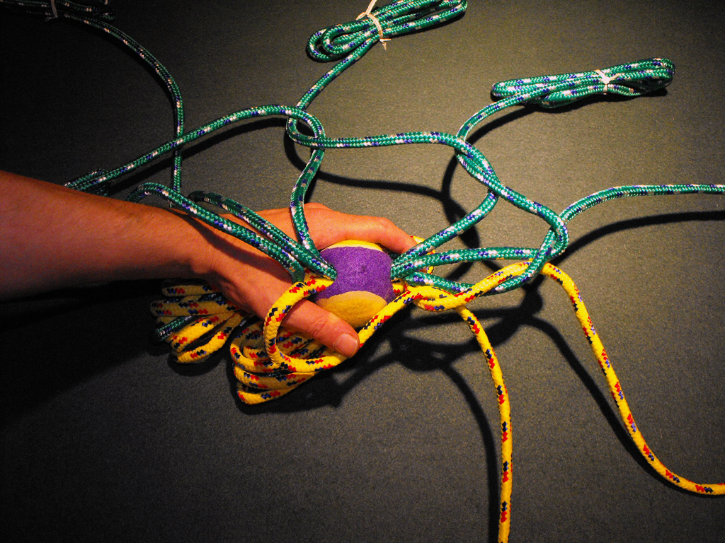 DOG_TOY_TENNIS_BALL_HEAD (46).JPG