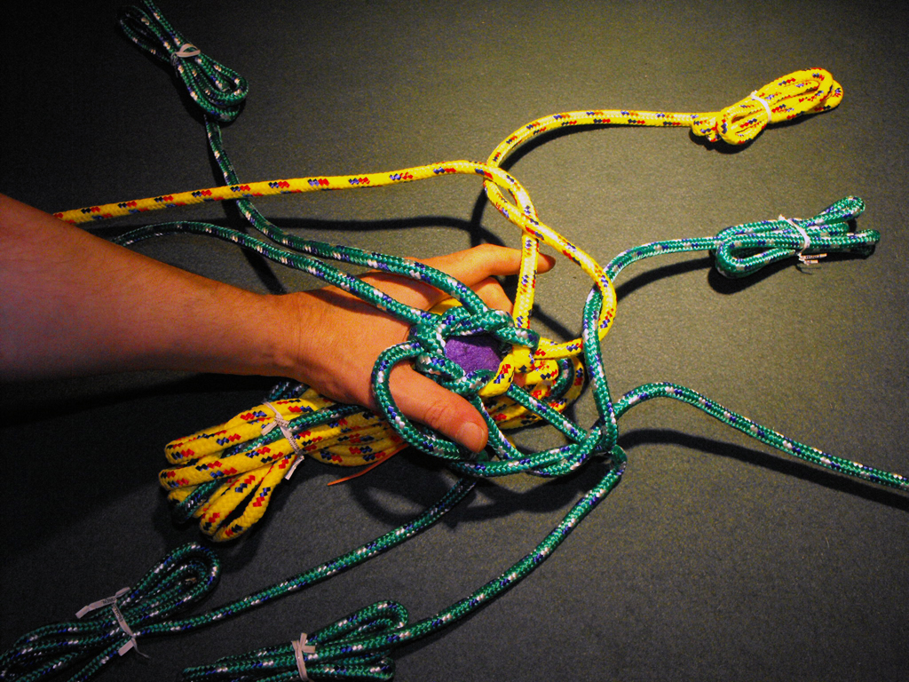 DOG_TOY_TENNIS_BALL_HEAD (54).JPG