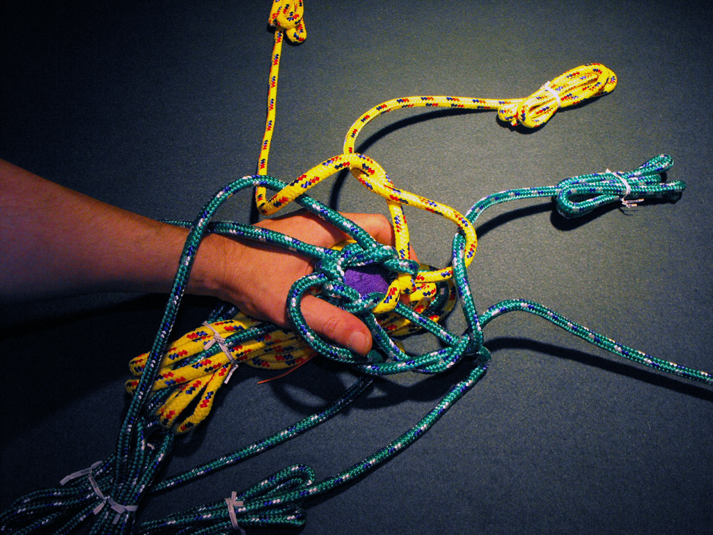 DOG_TOY_TENNIS_BALL_HEAD (55).JPG