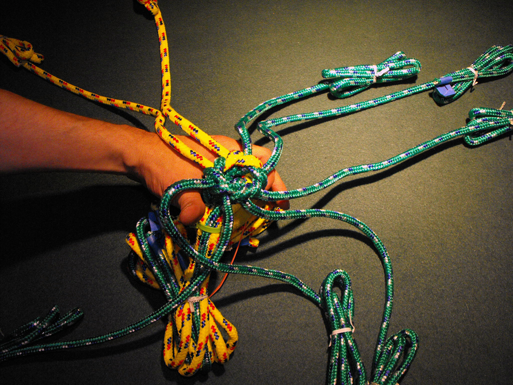 DOG_TOY_TENNIS_BALL_HEAD (57).JPG