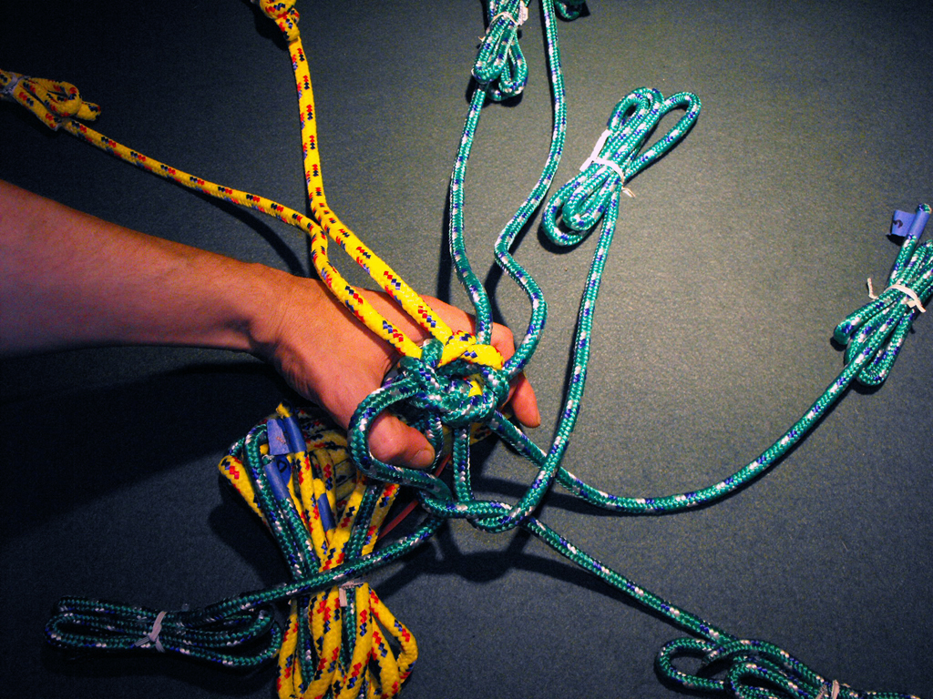 DOG_TOY_TENNIS_BALL_HEAD (59).JPG