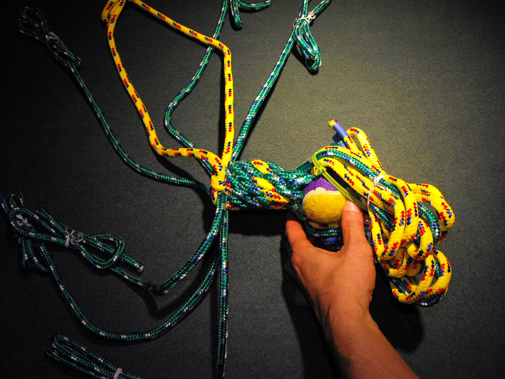 DOG_TOY_TENNIS_BALL_HEAD (66).JPG