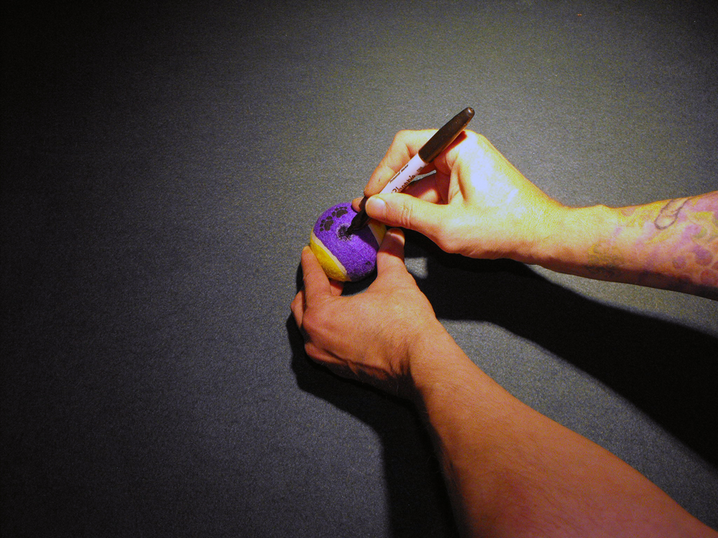 DOG_TOY_TENNIS_BALL_HEAD (7).JPG