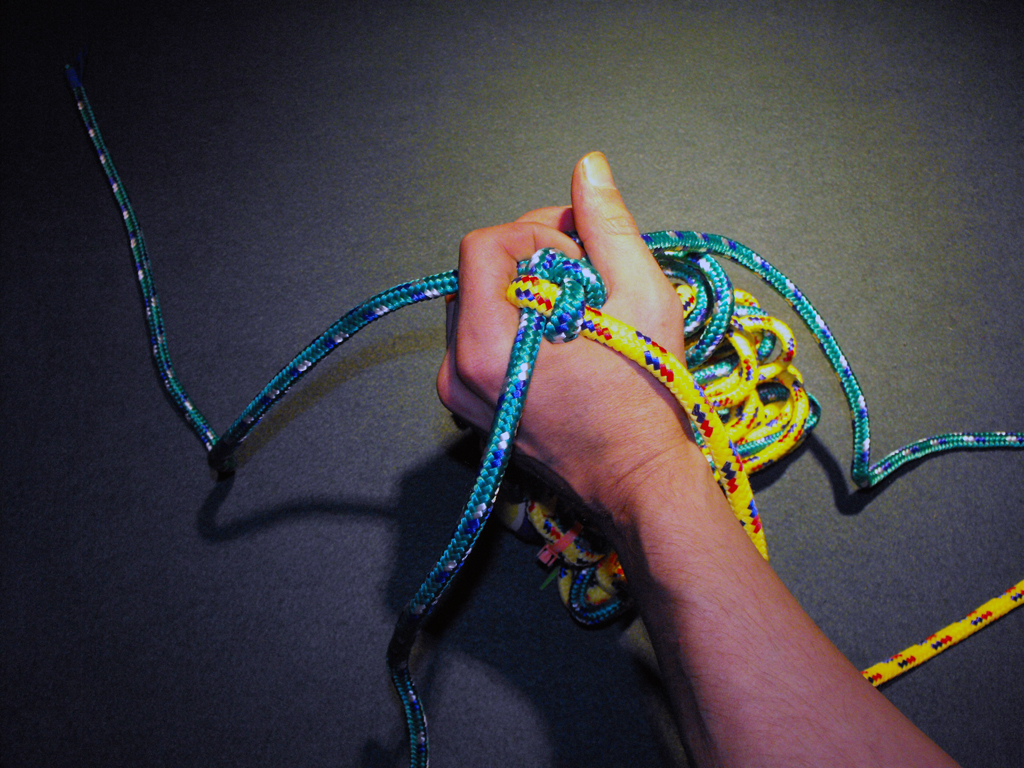 DOG_TOY_TENNIS_BALL_HEAD (82).JPG