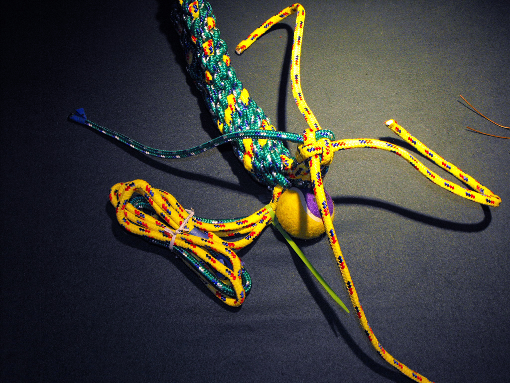 DOG_TOY_TENNIS_BALL_HEAD (99).JPG