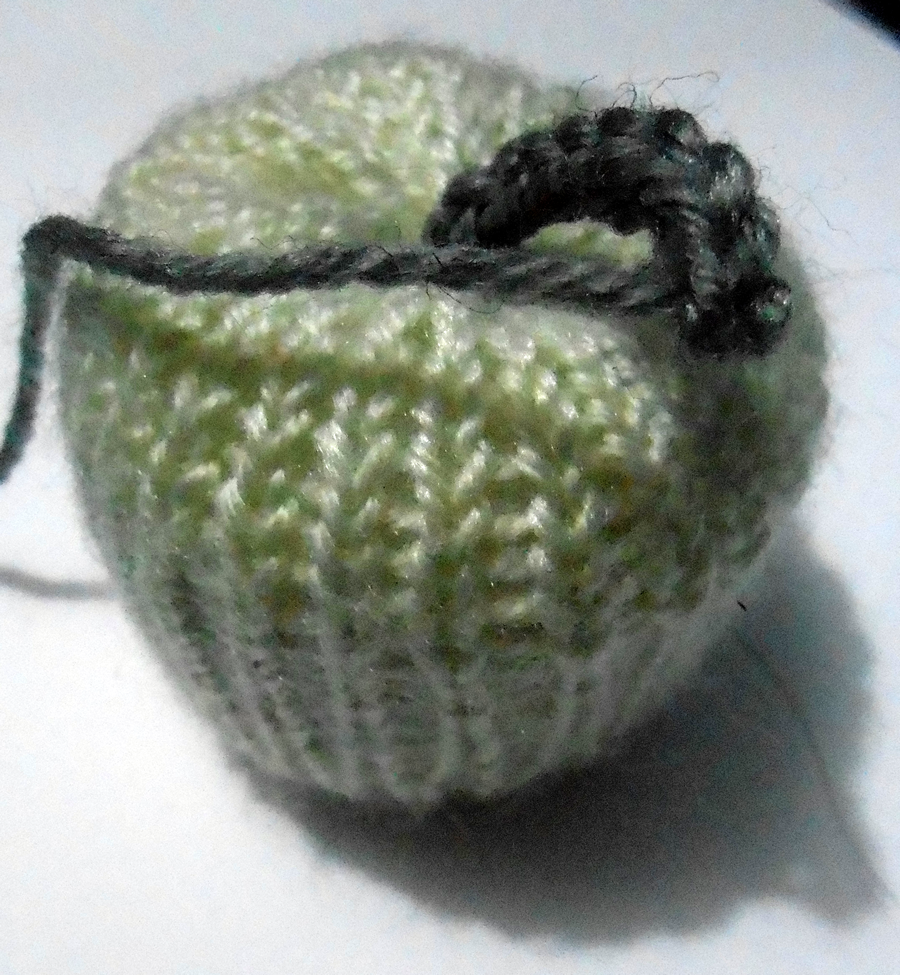 DSCN9564whapp1 - Copy.png