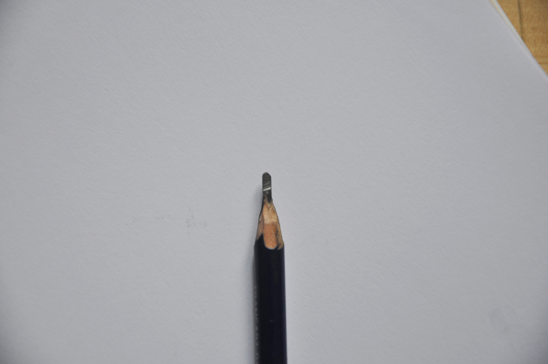 DSC_0090 - kopie.JPG