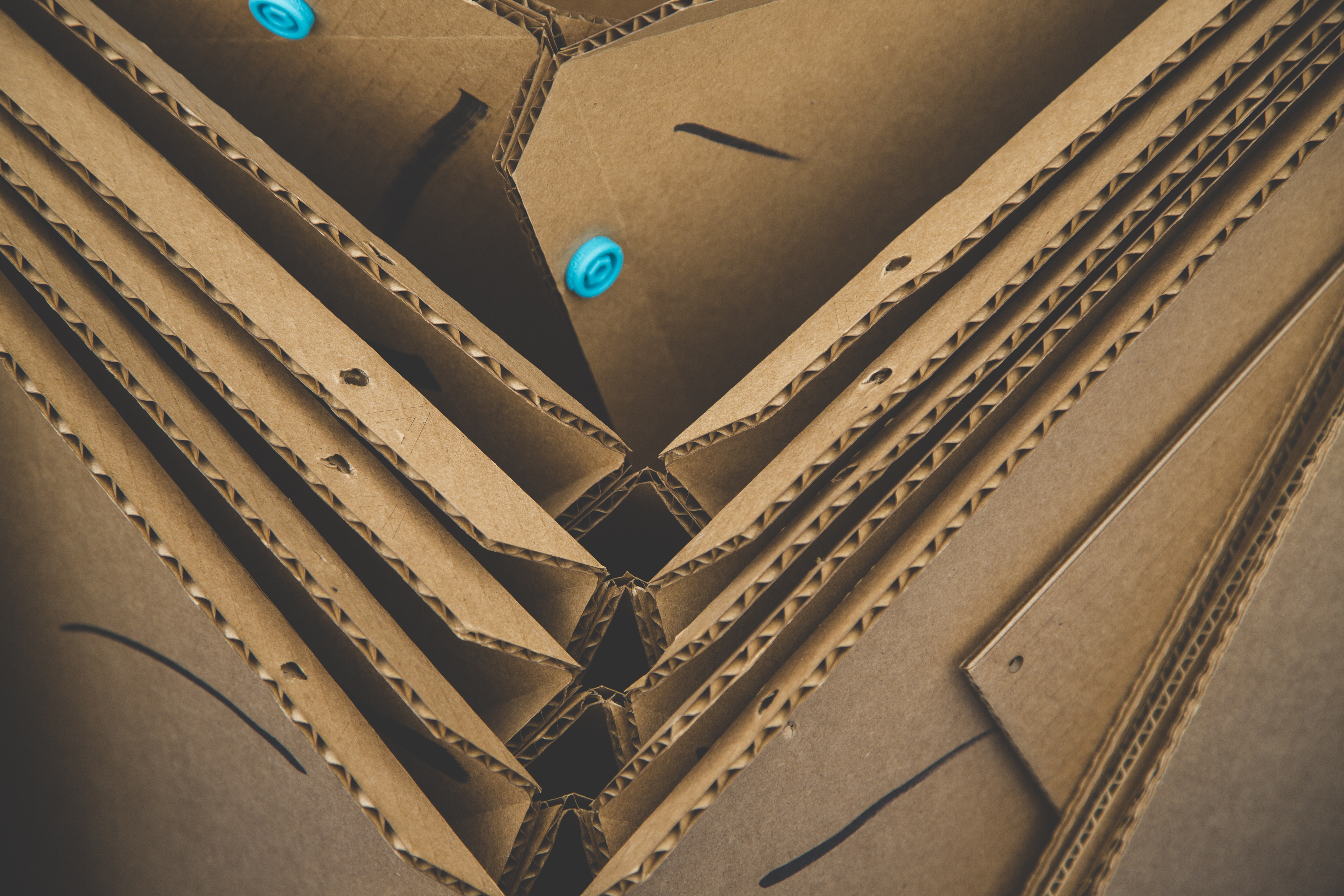 DTM_Color (2 of 235).jpg