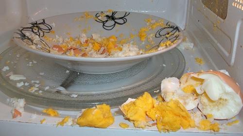 Egg in a Microwave 01 Plate.jpg