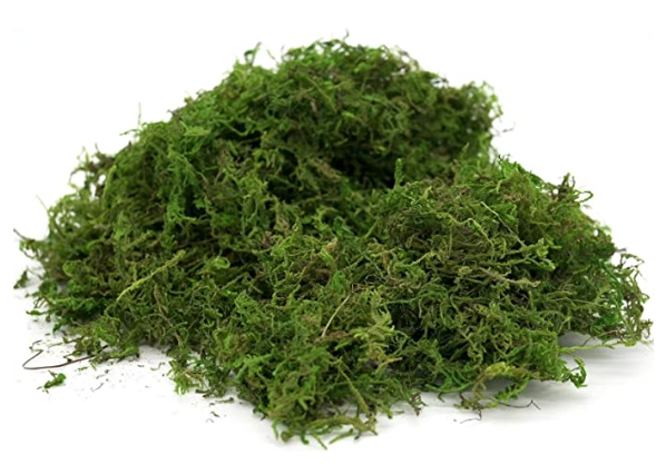 FAKE_MOSS.png