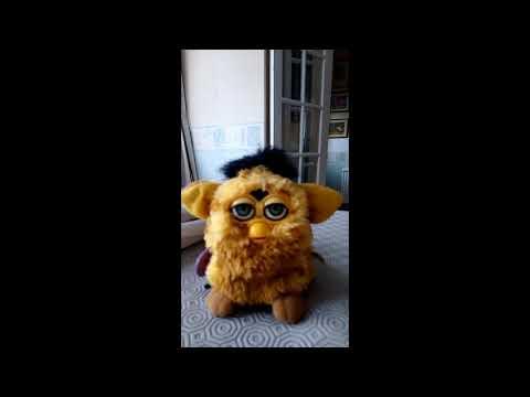 Furby3