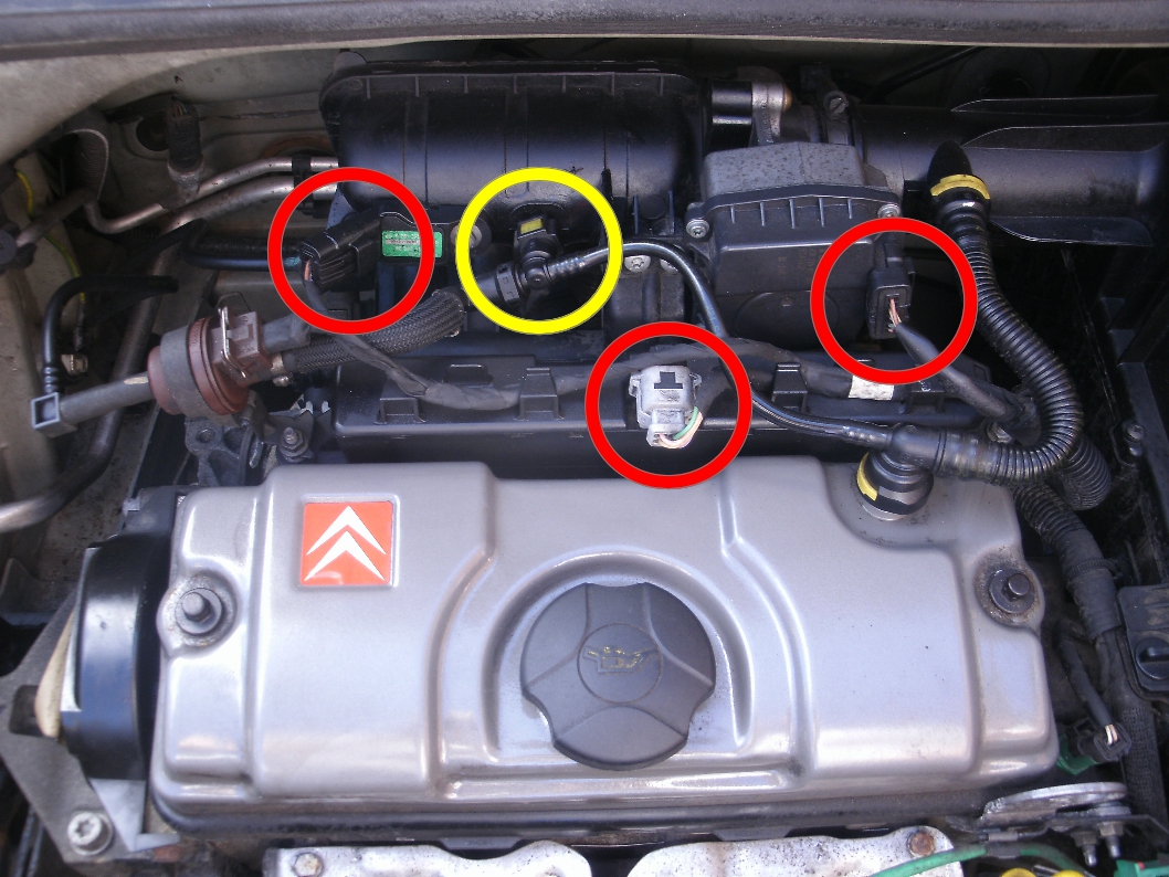 GEDC1850 - plgs.JPG.jpg