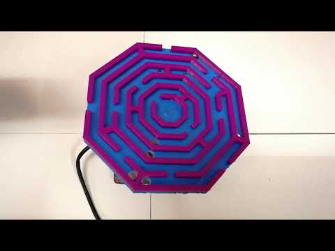 Gesture Controlled Maze