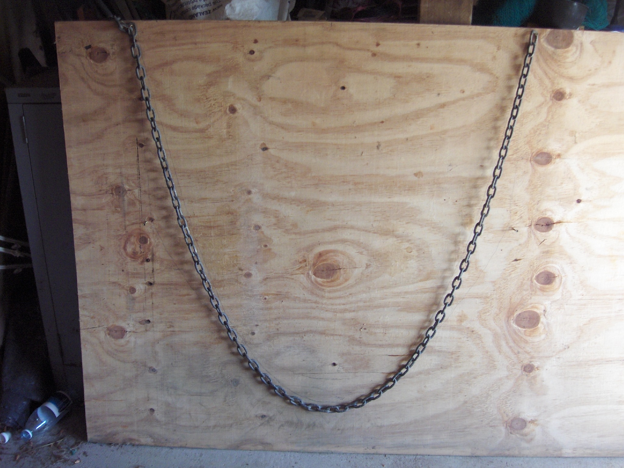 Gothic chook coop 001.JPG