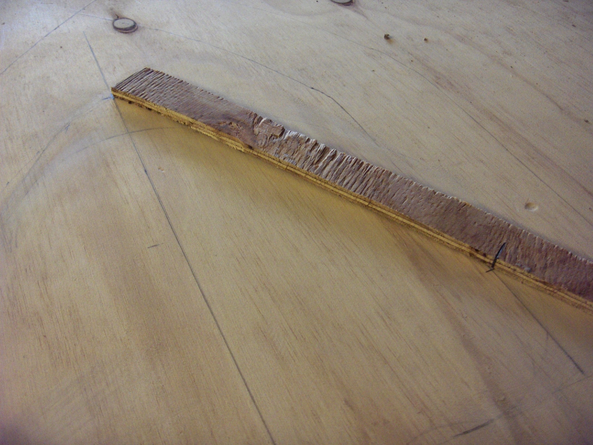 Gothic chook coop 050.JPG