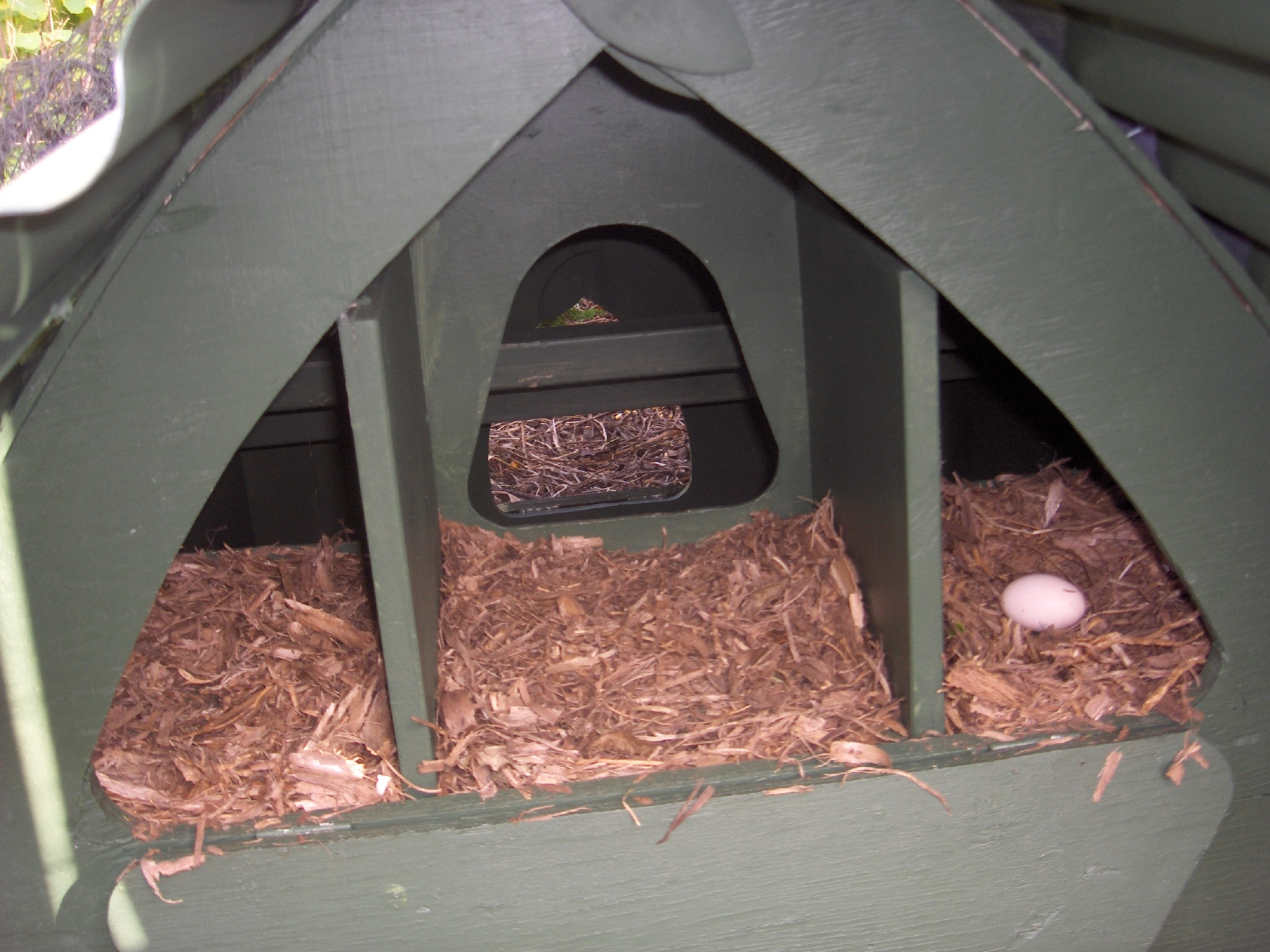 Gothic chook coop 167.JPG