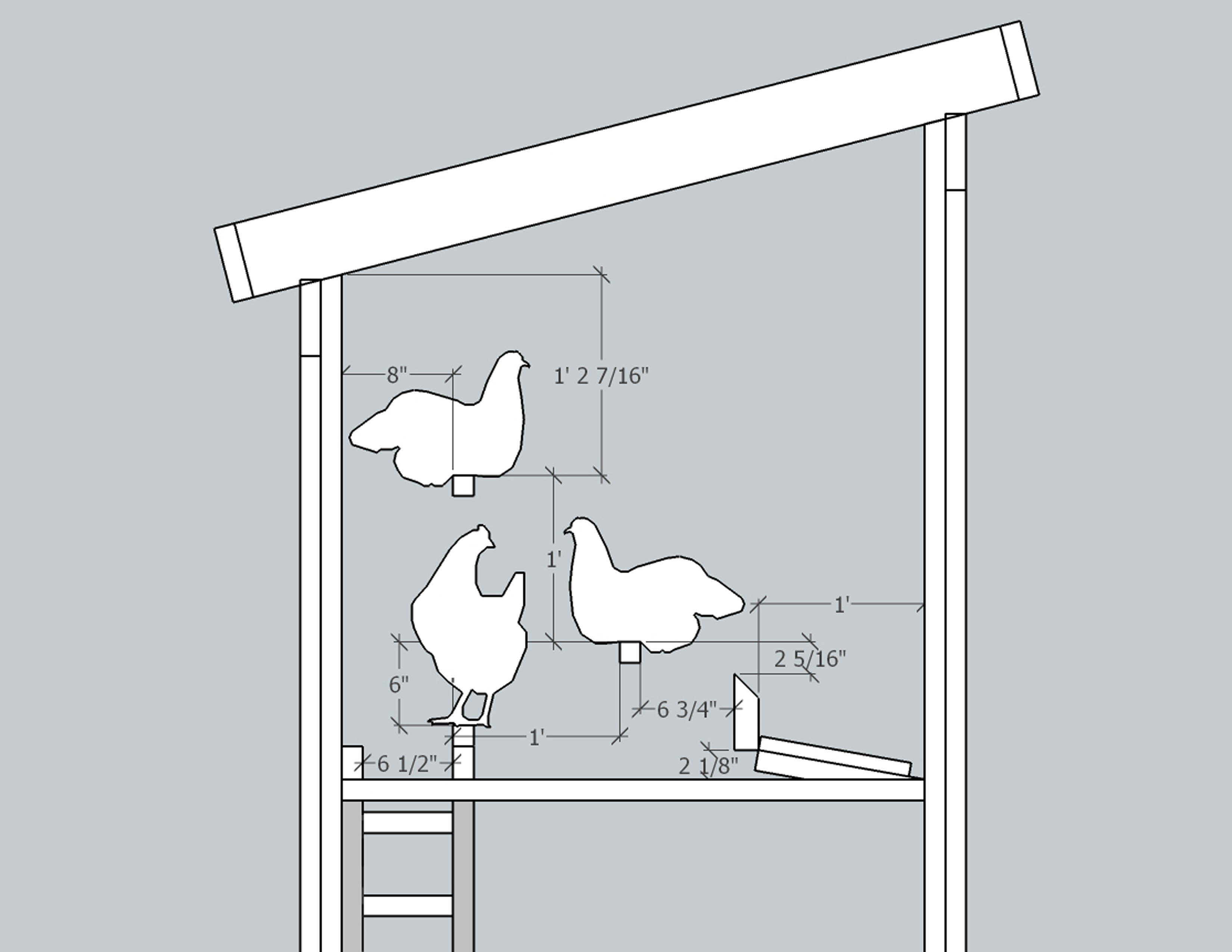 Hen Saloon Roost Layout.jpg