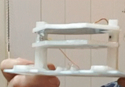 Holtz Collector plate 2.gif