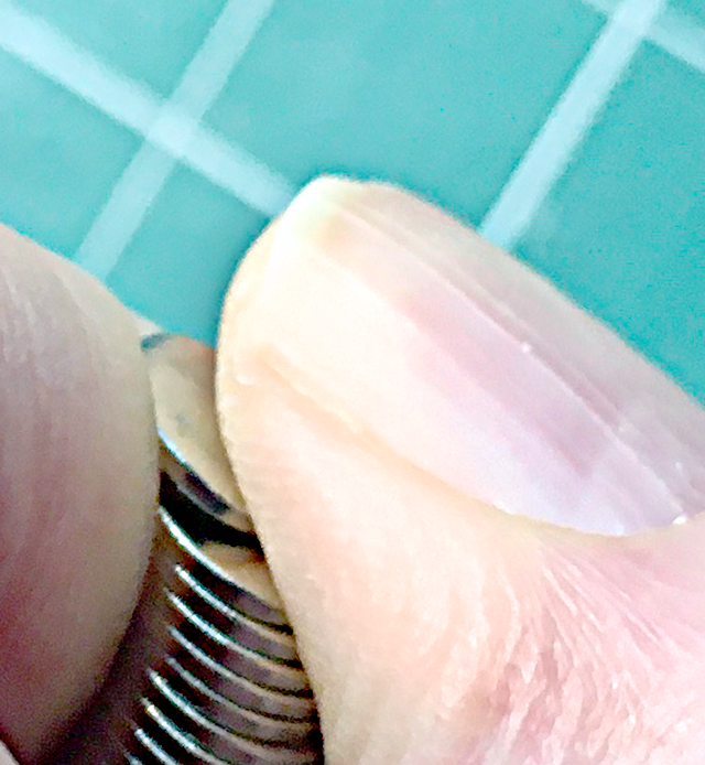 IMG_0276 thumbing x640.png