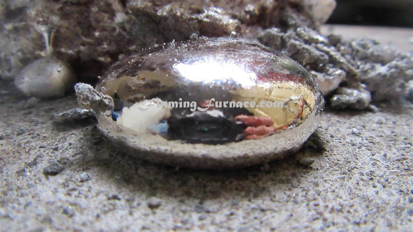 IMG_1562 (Medium).JPG