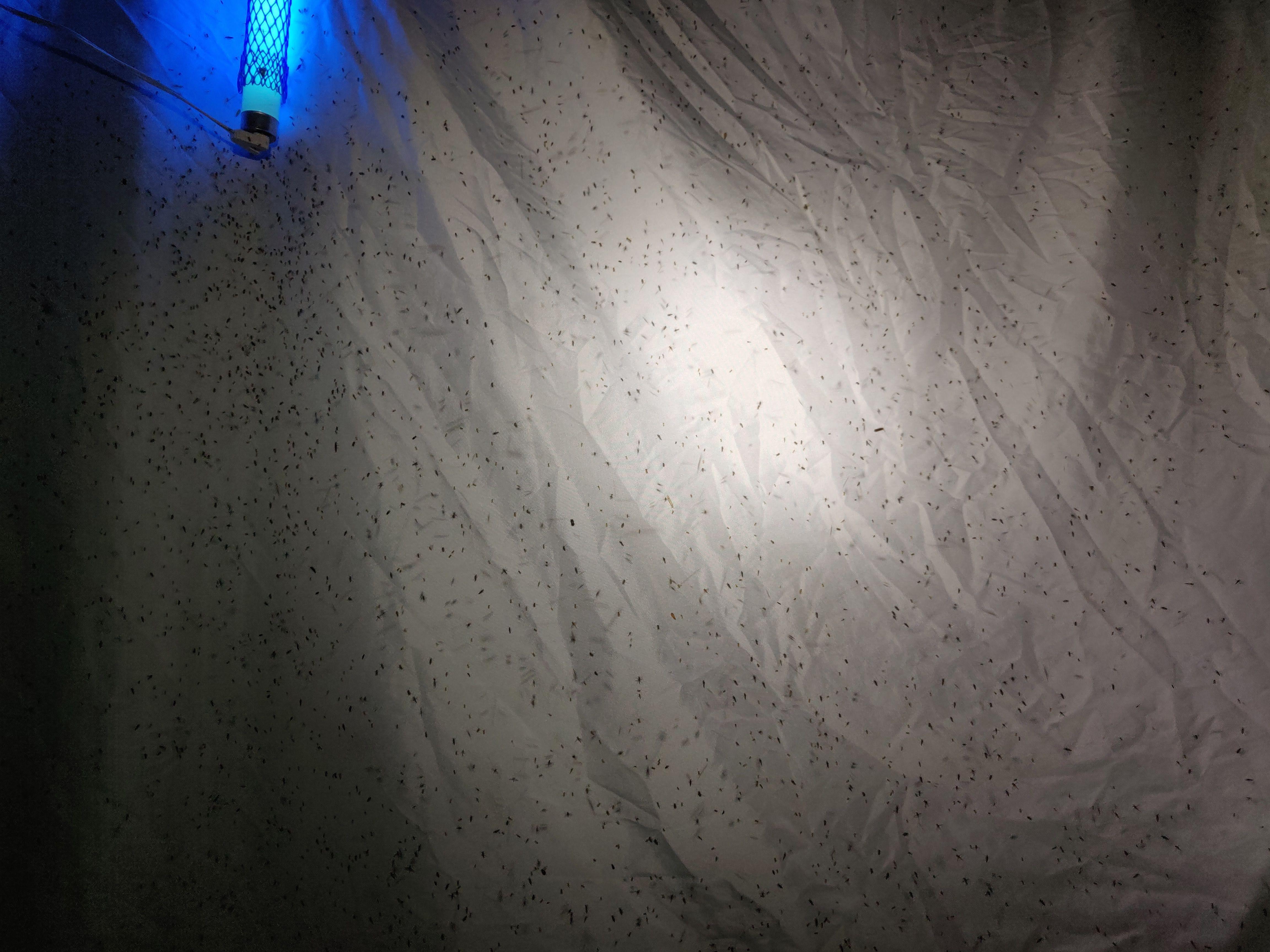 IMG_20210612_213015 (1).jpg