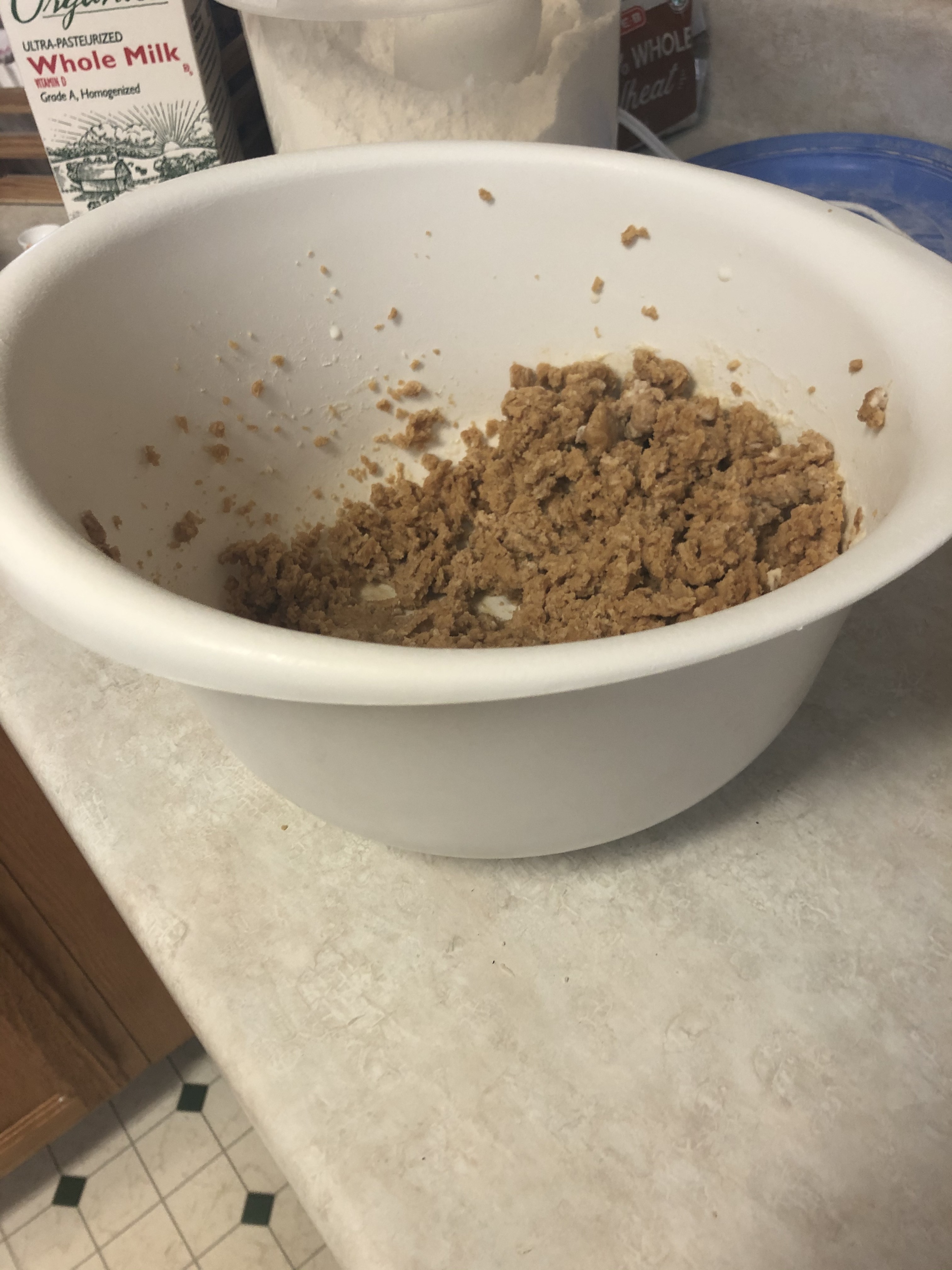 IMG_2256 (1) - Copy - Copy - Copy.JPG