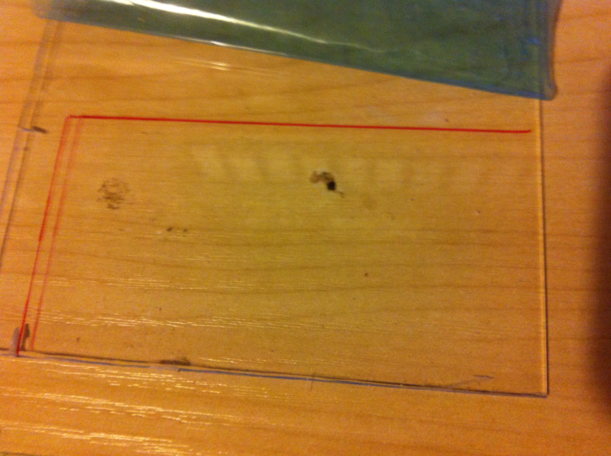 LCD Bezel Step 05.JPG