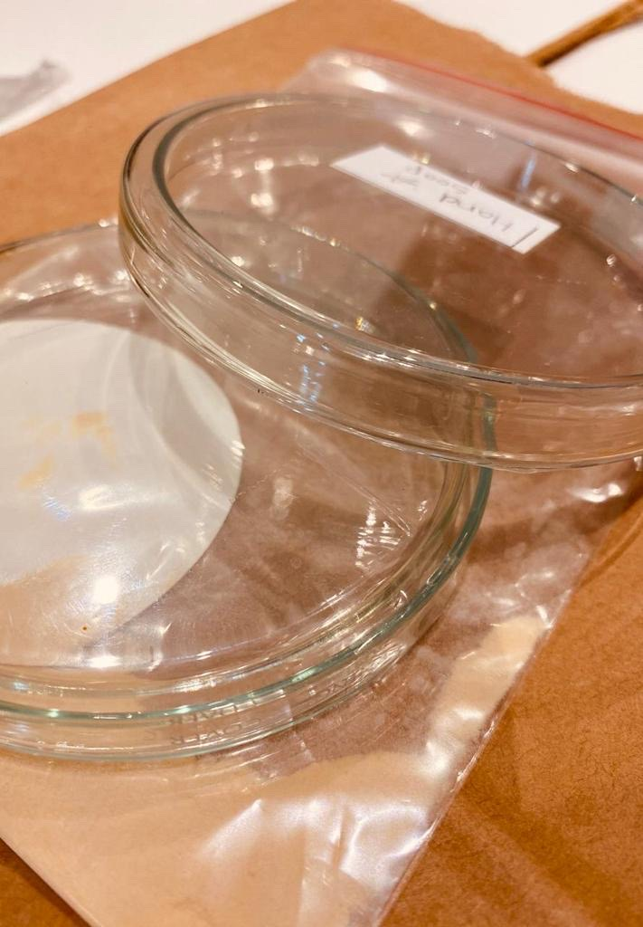 MicrosoftTeams-image (1).png