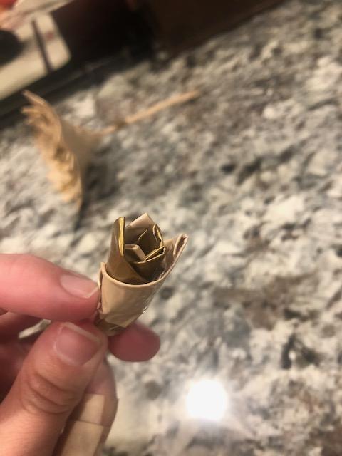 More beginning part.jpg