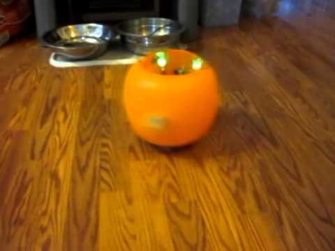 Motion-Activated PumpkinBot