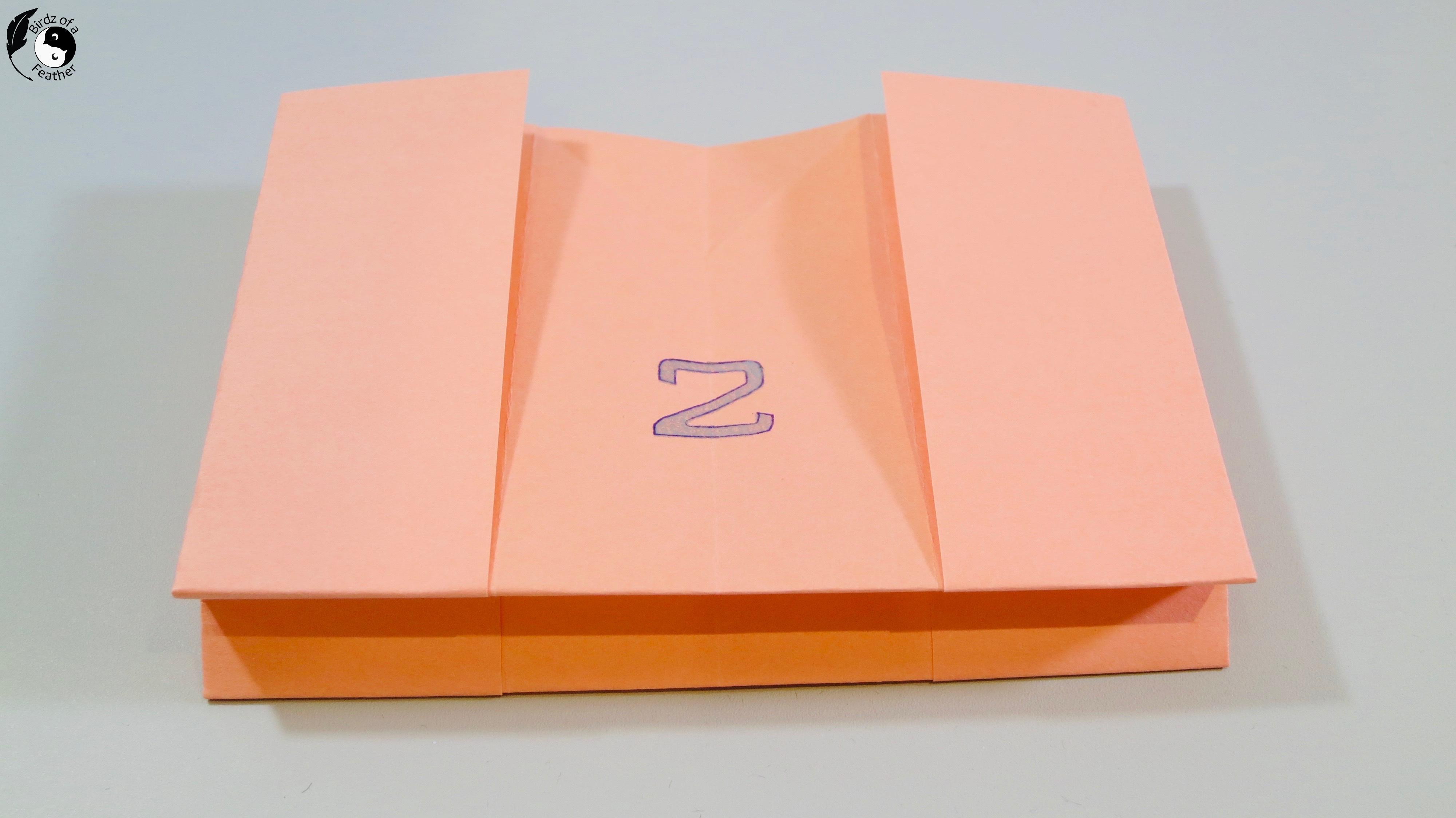 Origami Shirt_0823.jpeg