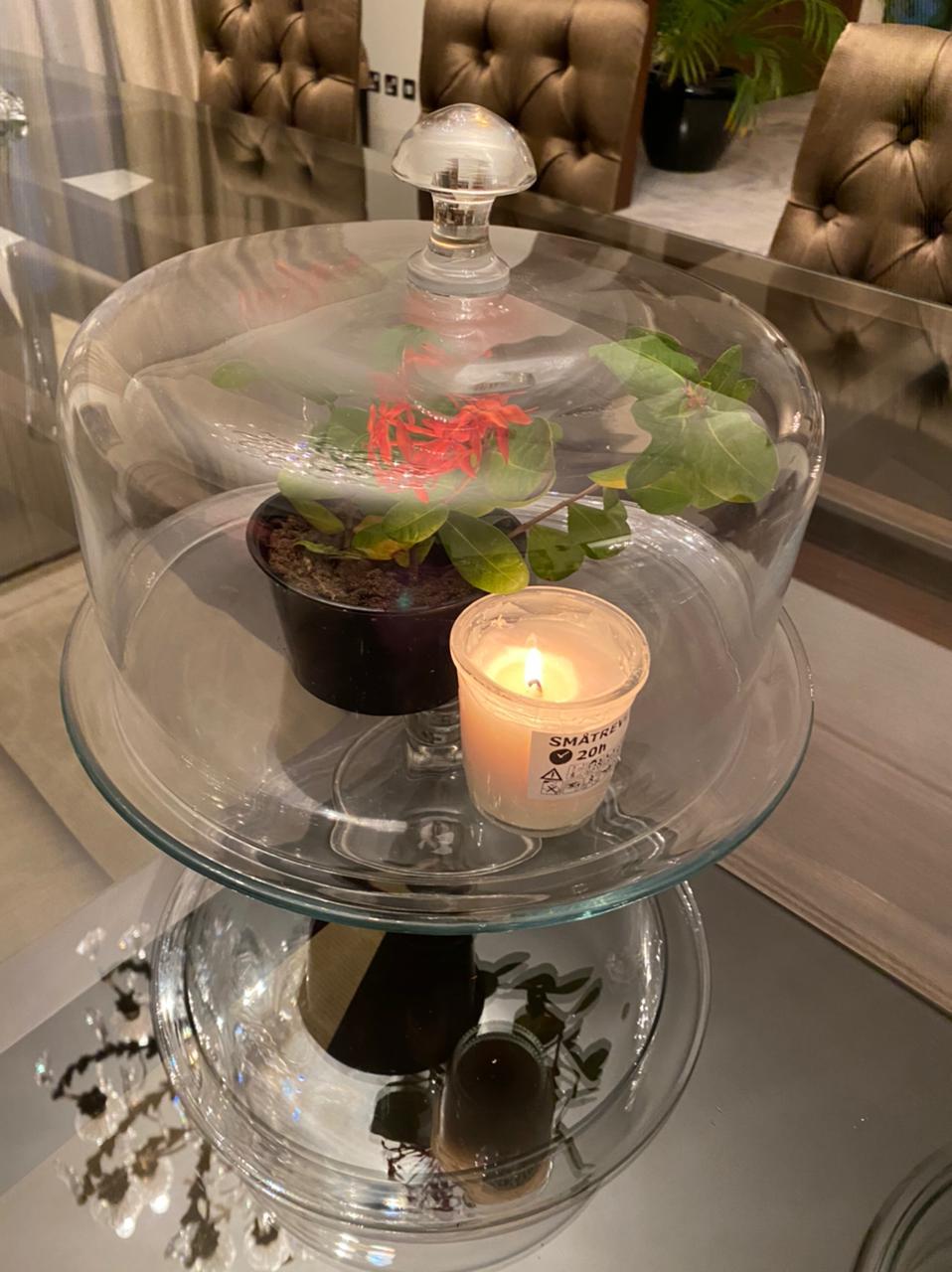 PHOTO-2021-03-08-22-07-15 3 (1).JPG