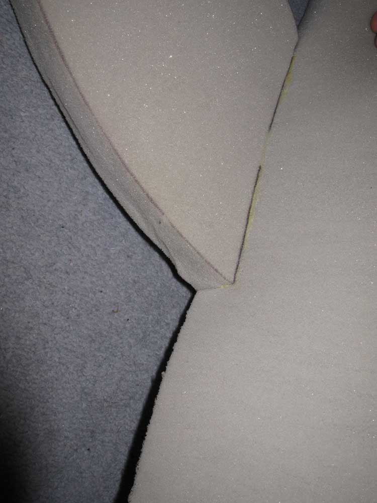 Pectoral fin join.jpg