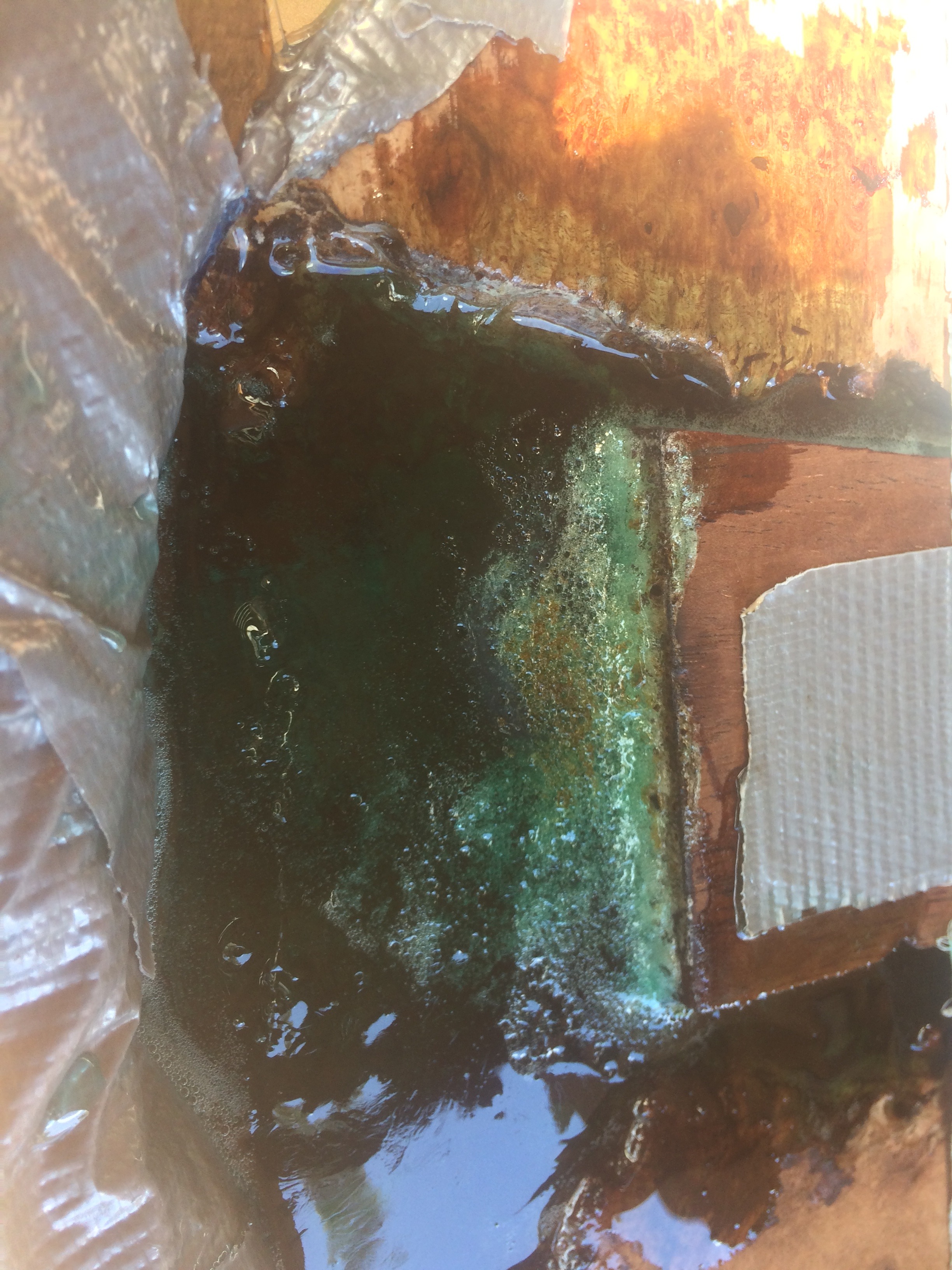 Photo 12-2-18, 1 10 45 pm (1).jpg