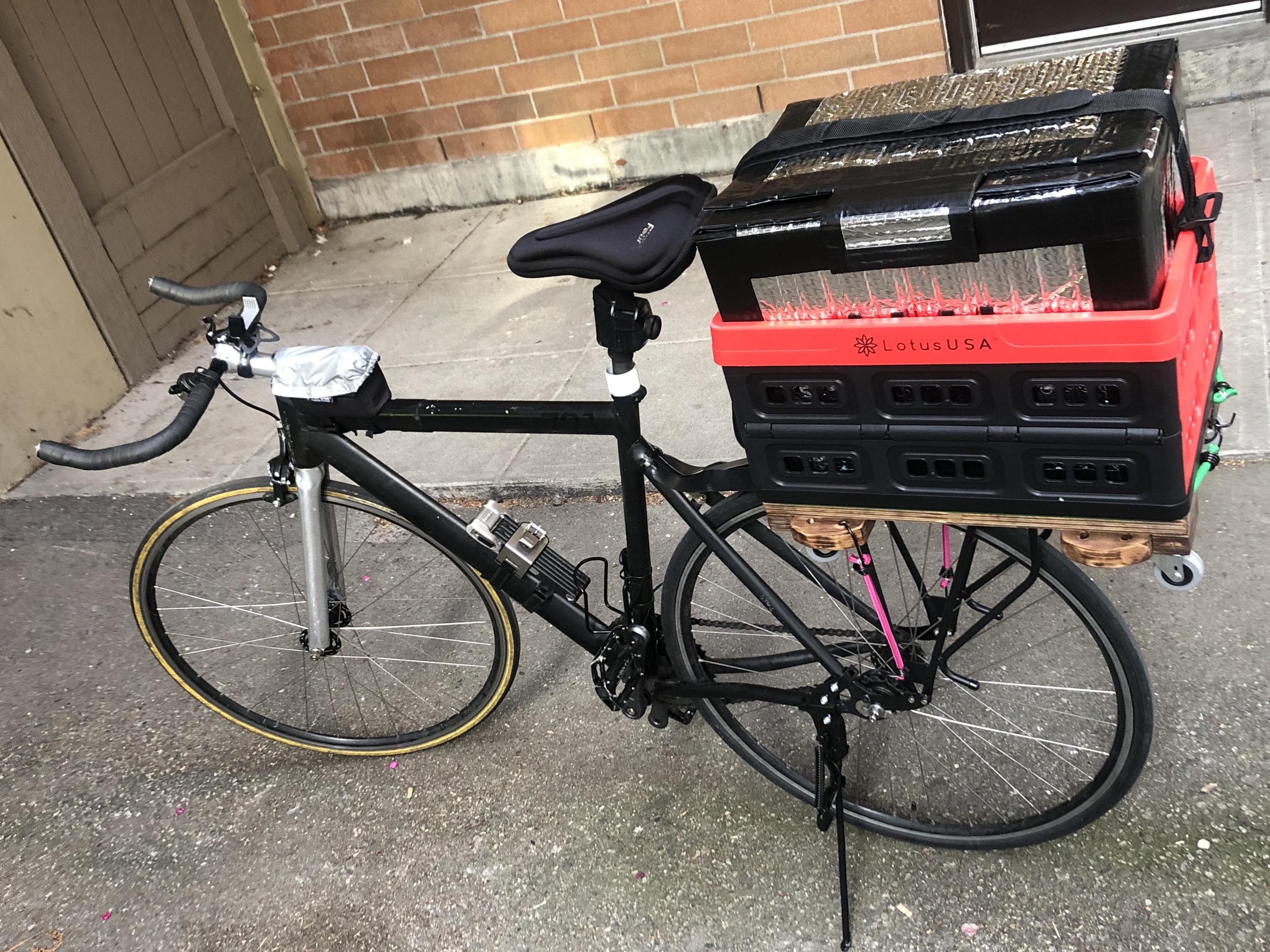 Photo 2020-07-16, 7 19 19 PM.jpg