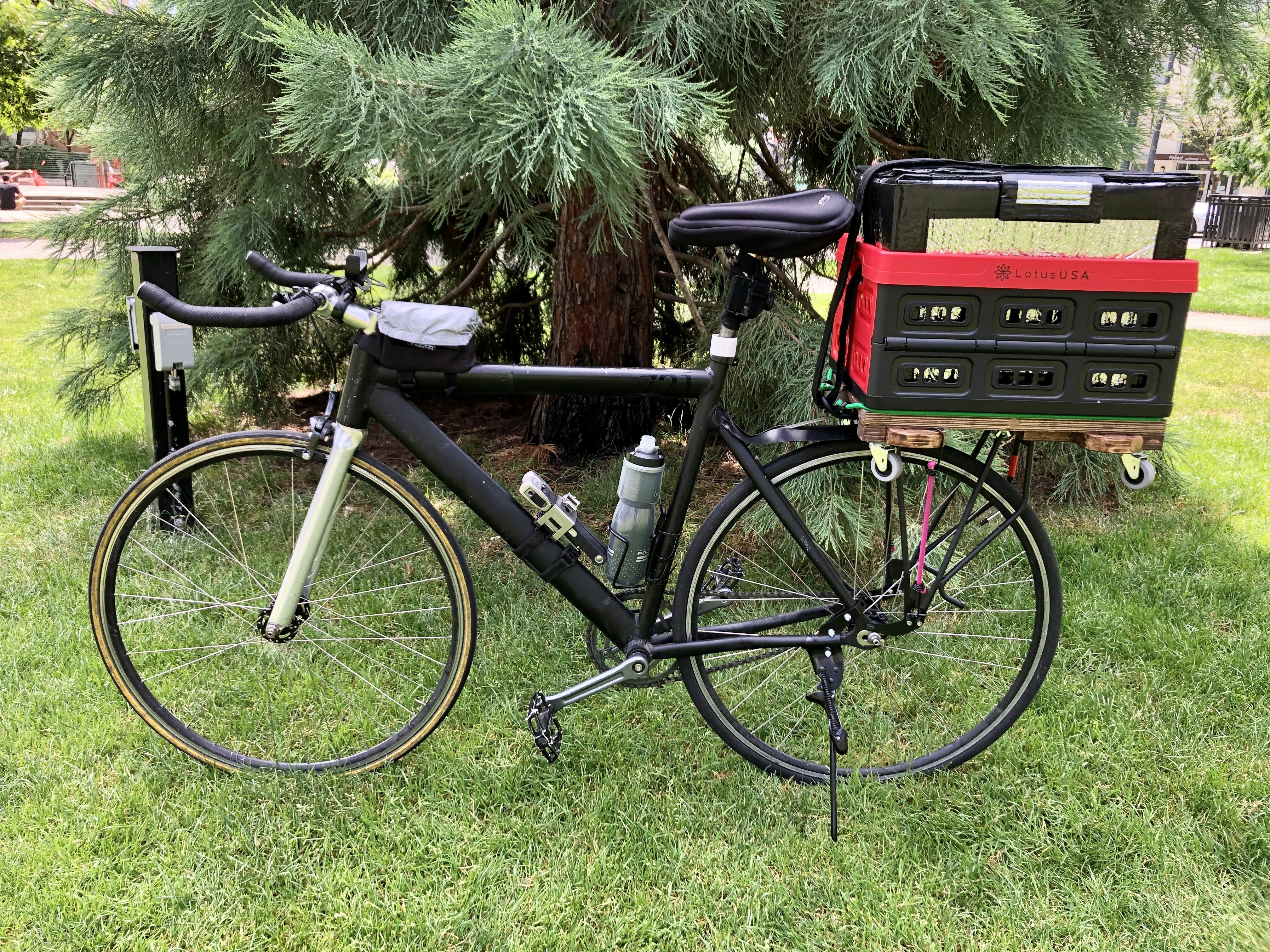 Photo 2020-07-17, 12 55 58 PM.jpg