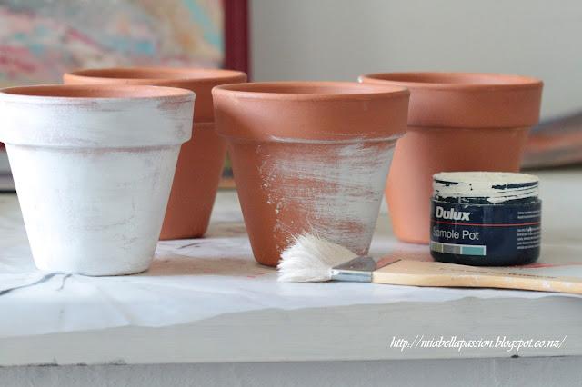 Picture or Video 1041.JPG