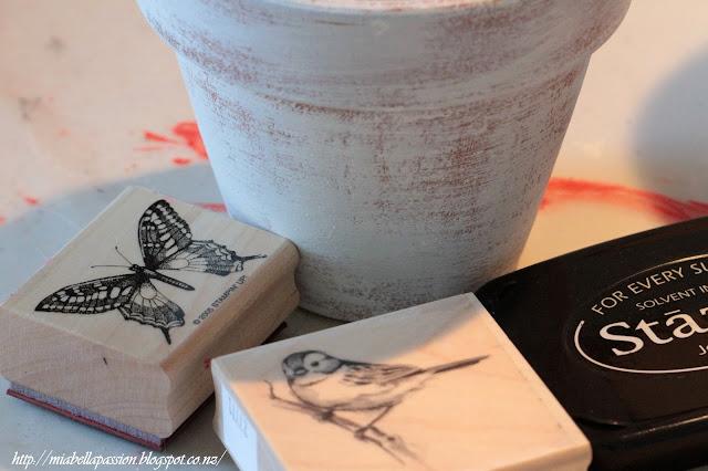 Picture or Video 1046.JPG