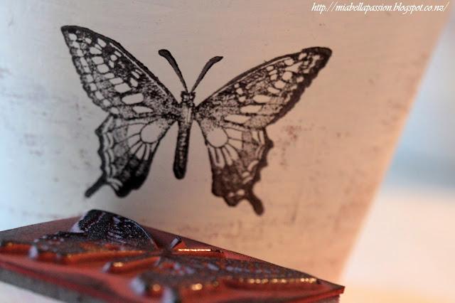 Picture or Video 1048.JPG