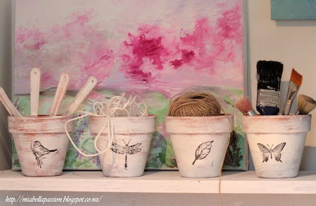 Picture or Video 1049.JPG