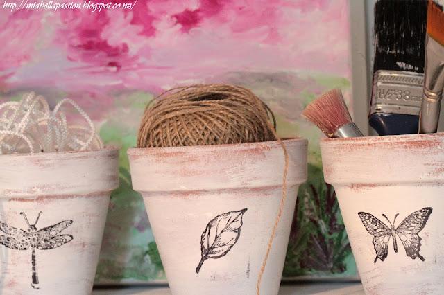 Picture or Video 1052.JPG